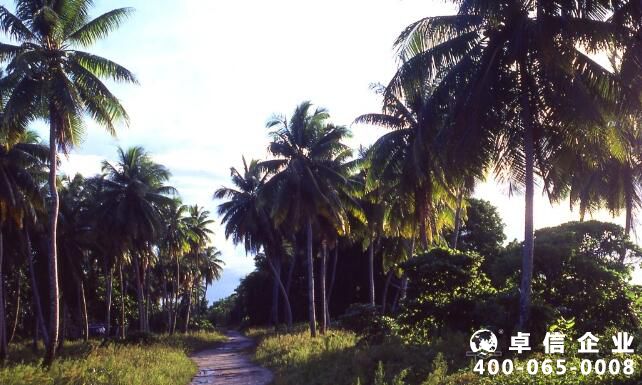 注冊(cè)馬紹爾公司需要滿足哪些條件