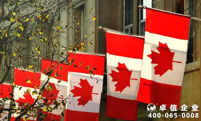 加拿大省公司和聯(lián)邦公司有什么區(qū)別