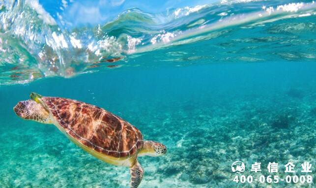 開曼公司注冊(cè)