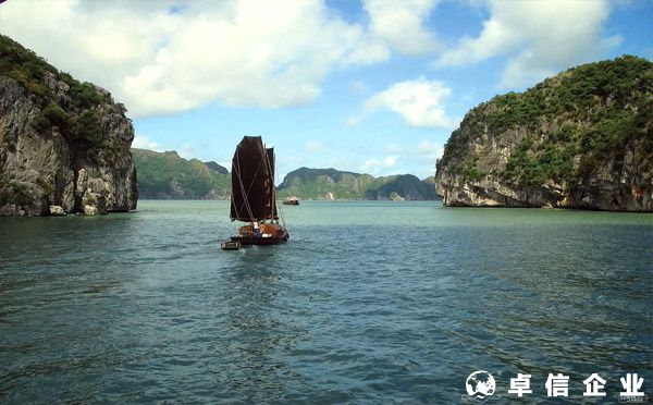 越南注冊公司,有哪幾種類型可選擇？（類型及要求）