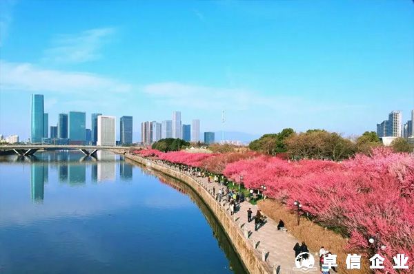 注冊義烏個體戶怎樣突破個人五萬金額結匯