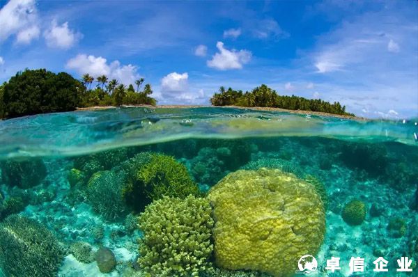 馬紹爾護(hù)照適合哪些人申請？