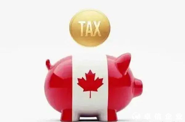 跨境電商申請加拿大稅號（BN號及GST號申請）