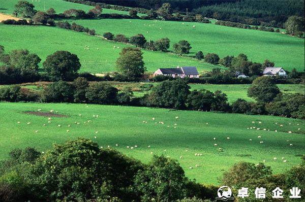 在愛爾蘭銀行開戶指南