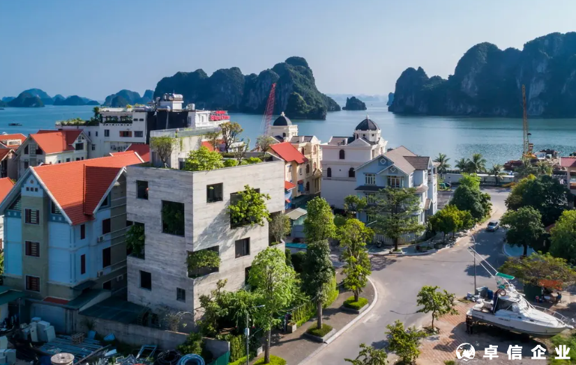 為什么越南的公司不建議用個人持有呢？