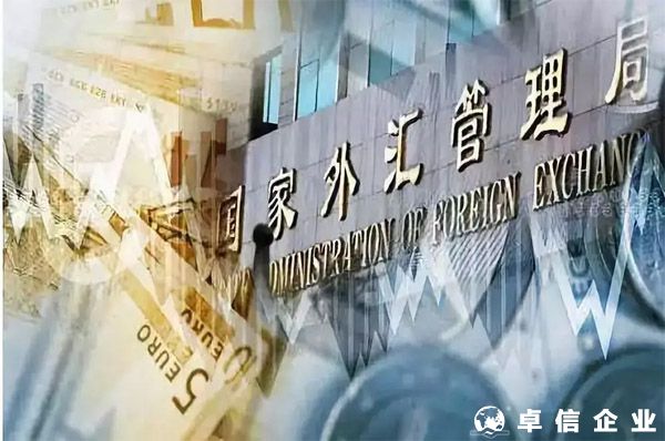 特殊機構代碼賦碼業務辦事指南