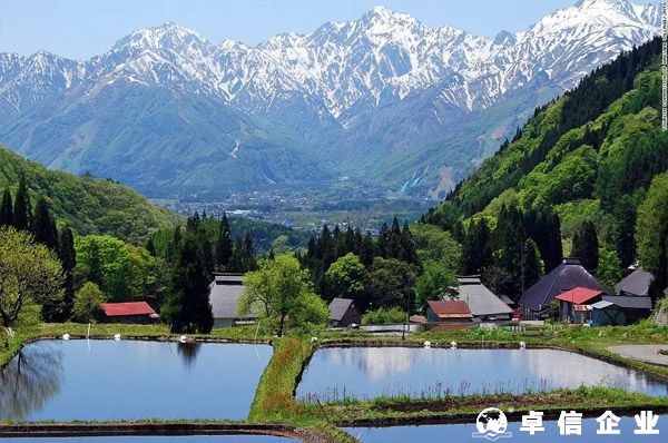 日本消費稅（JCT）確立實行，不合規賣家將會面臨罰款