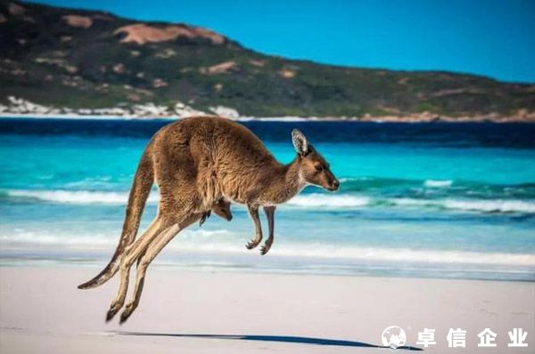 澳洲移民、臨簽持有人也可以在澳洲貸款買房嗎？