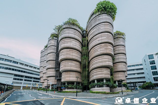 中國企業家成立新加坡家族辦公室有哪些優勢