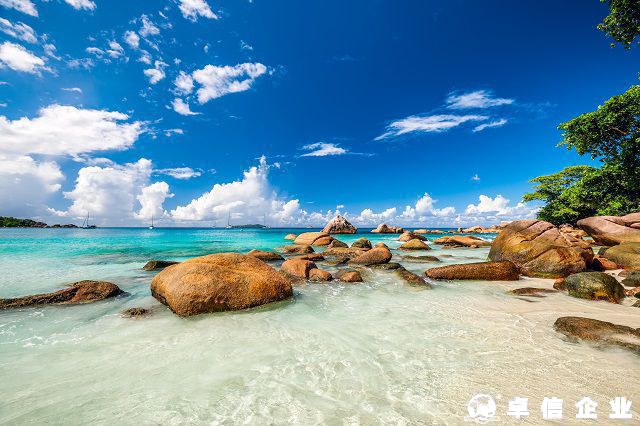 塞舌爾公司稅收政策解析