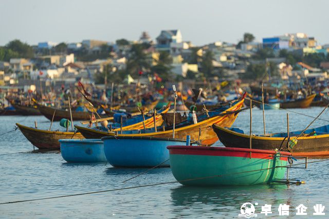 注冊越南公司需要注意哪些細節和風險