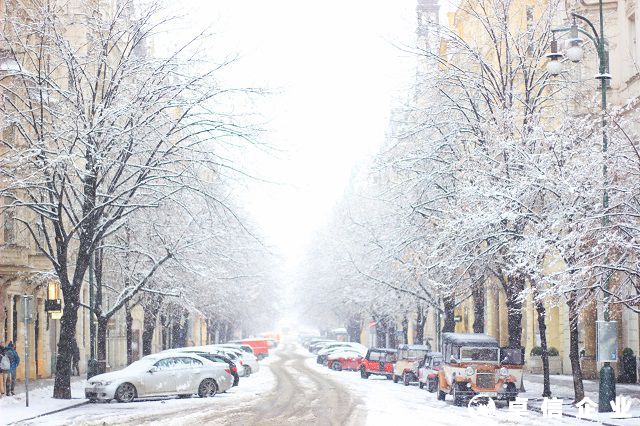 解答捷克公司注冊辦理流程是怎么樣的