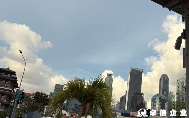 BVI公司經(jīng)營范圍全解析：自由、限制與合規(guī)路徑