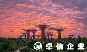 注冊(cè)新加坡公司怎么樣 新加坡需要繳納哪些稅