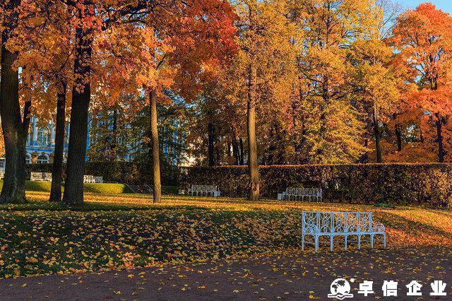 解析個人能否申請注冊俄羅斯商標