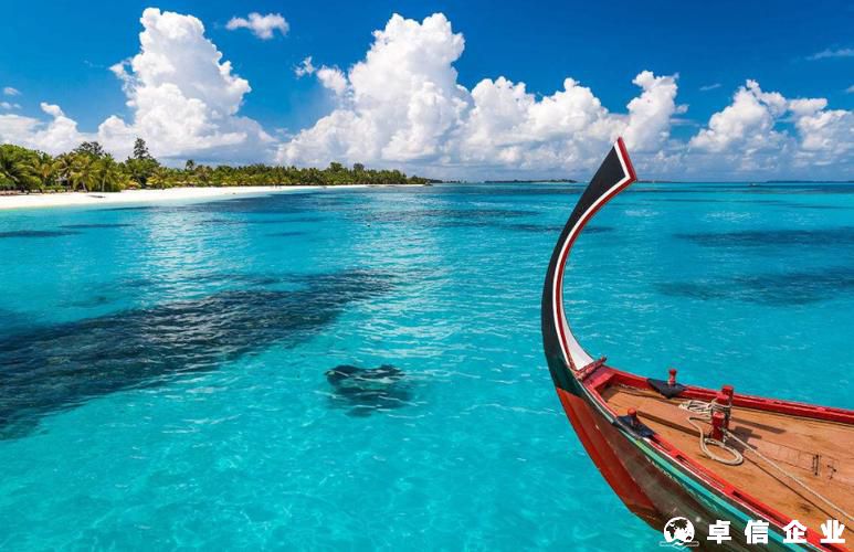 塞舌爾公司主動注銷的條件是什么？